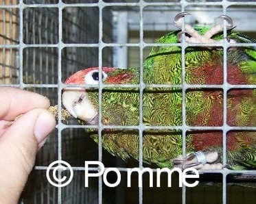 Copie de 101_0353.JPG