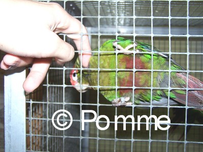 Copie de 101_0358.JPG