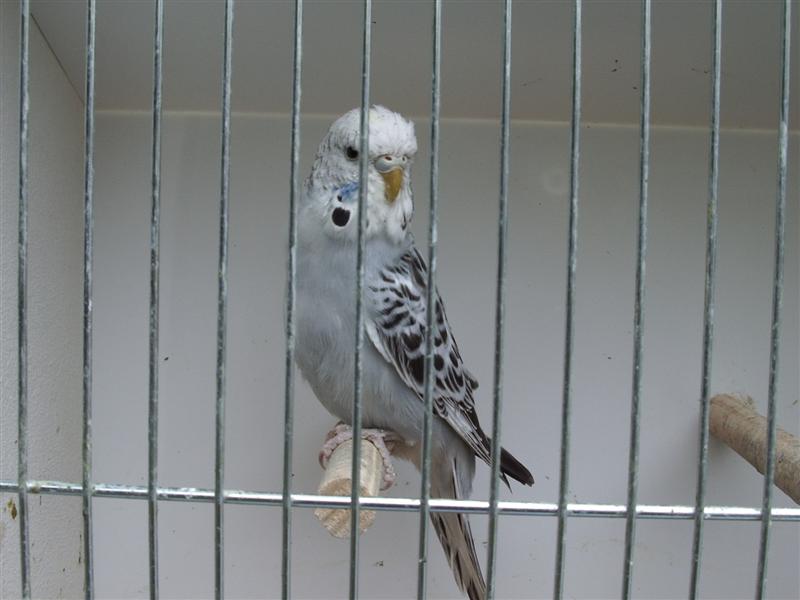 Photo 6 008 (Medium).jpg