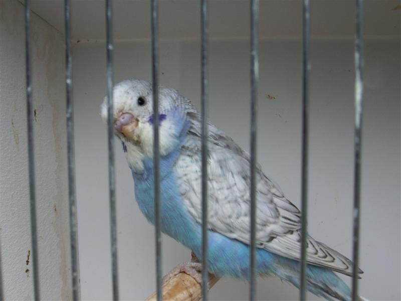 Photo 6 047 (Medium).jpg