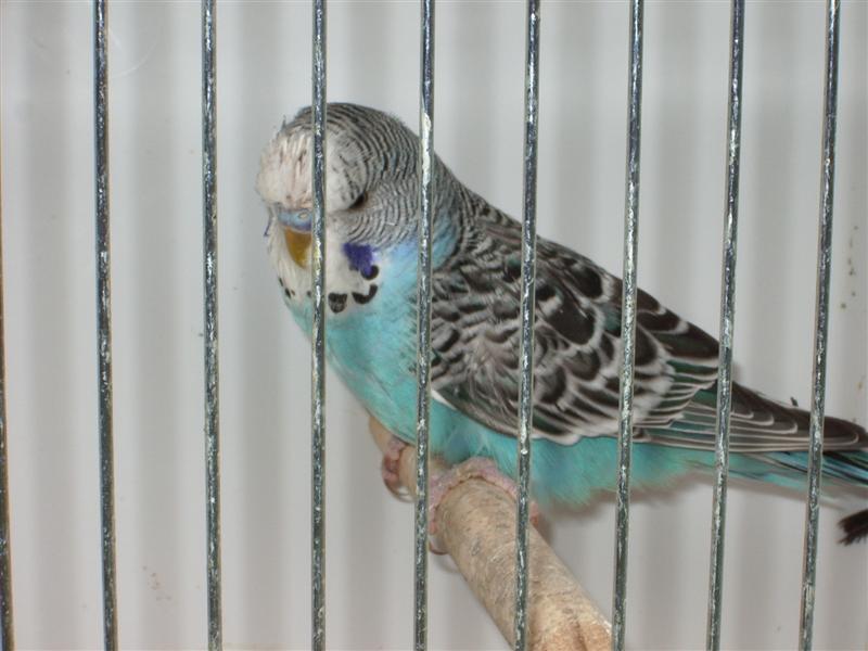 Photo 6 006 (Medium) (2).jpg