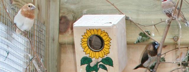 Correction IMG_0009 (Small).JPG