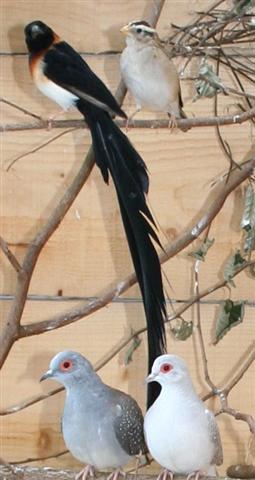 Correction Correction IMG_0009 (Small).JPG