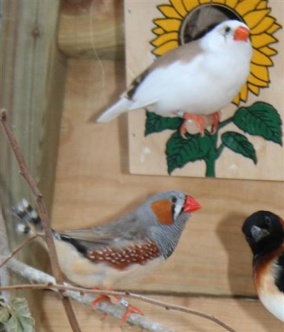 Correction IMG_0012 (Small).JPG