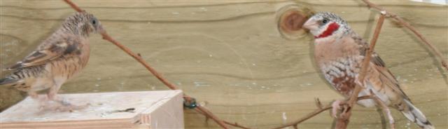 Correction IMG_0013 (Small).JPG