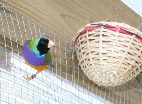 Correction Correction IMG_0010 (Small) (2).JPG