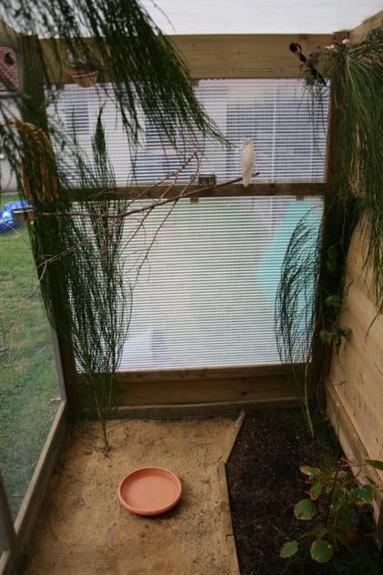 Correction IMG_0116 (Small).JPG