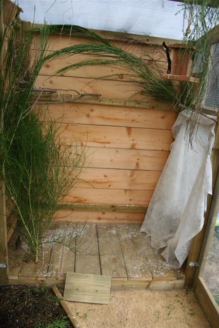 Correction IMG_0117 (Small).JPG