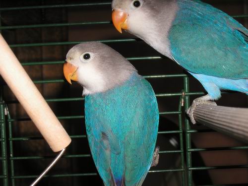 Redimensionnement de 024.JPG