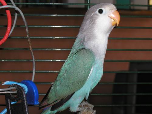 Redimensionnement de 019.JPG