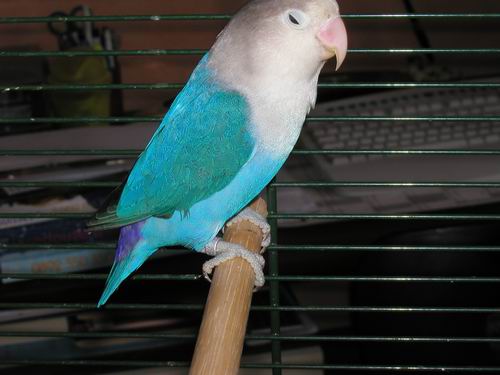 Redimensionnement de 021.JPG