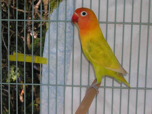 Redimensionnement de 014.JPG