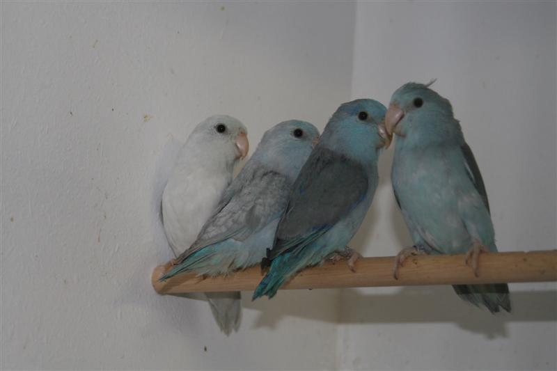 IMG_2553 (Medium).JPG