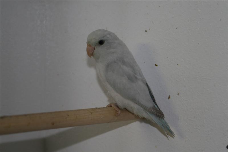 IMG_2559 (Medium).JPG