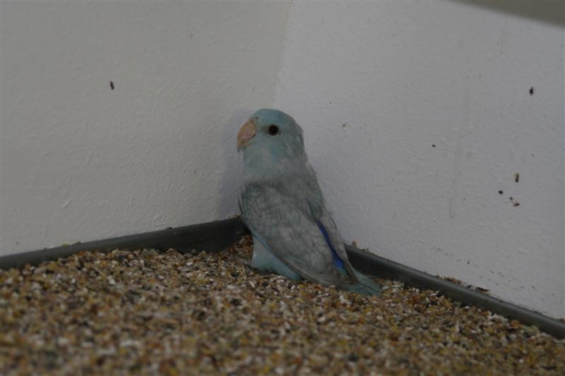 IMG_2556 (Medium).JPG