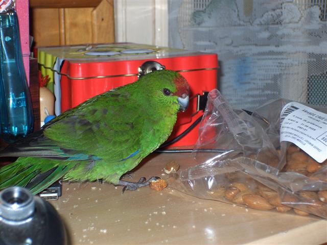 EPSN0013 (Small).JPG