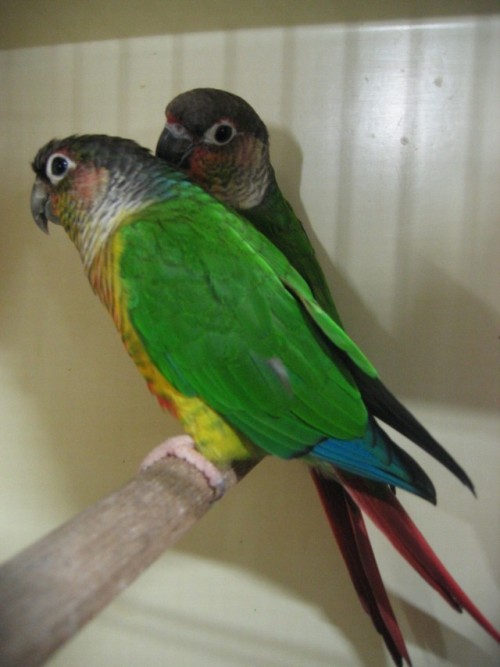 Bourse de Meux 02-09-07.jpg