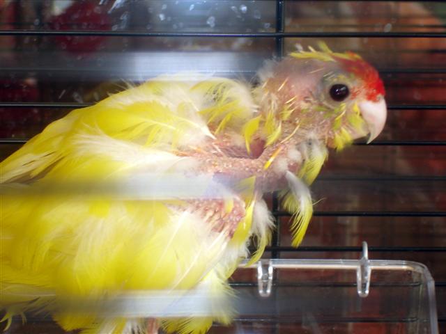 photo 102 (Small).jpg