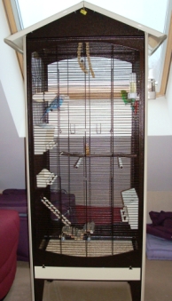 Maison oiseaux (194 x 339).jpg