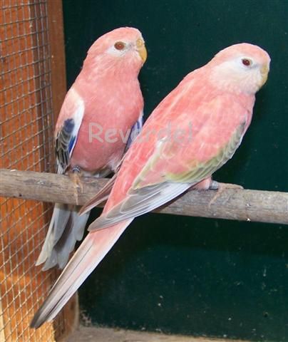 100_1158 (Small).jpg