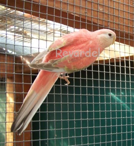 100_1153 (Small).jpg