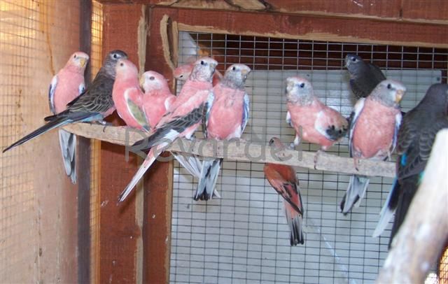 100_1198 (Small).jpg