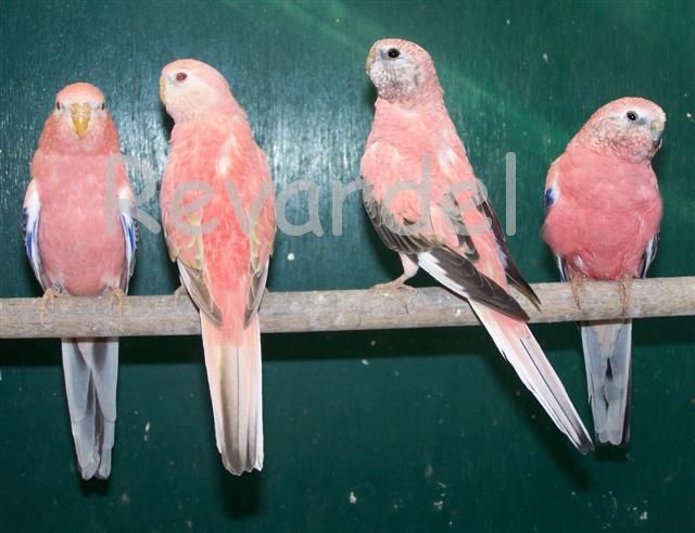 100_1150 (Small).jpg