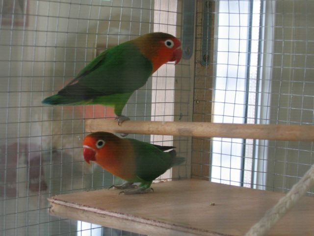 FISHERS 006 [640x480].jpg