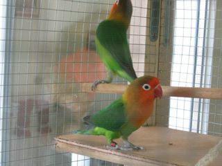 FISHERS 007 [640x480] [320x200].jpg