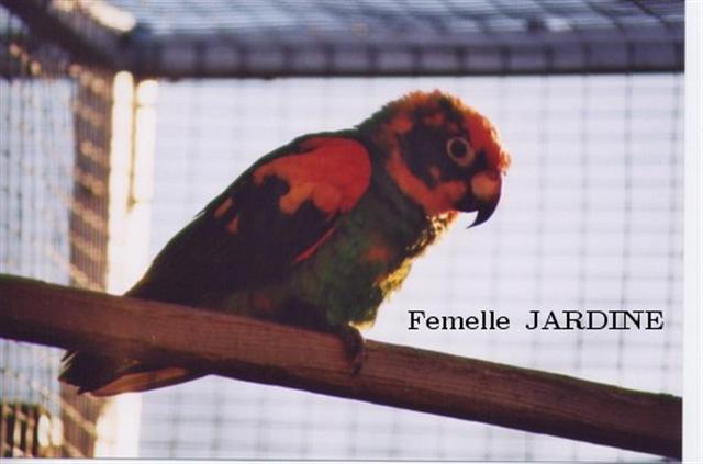 Photo 007.jpg INTERNET (Small).jpg