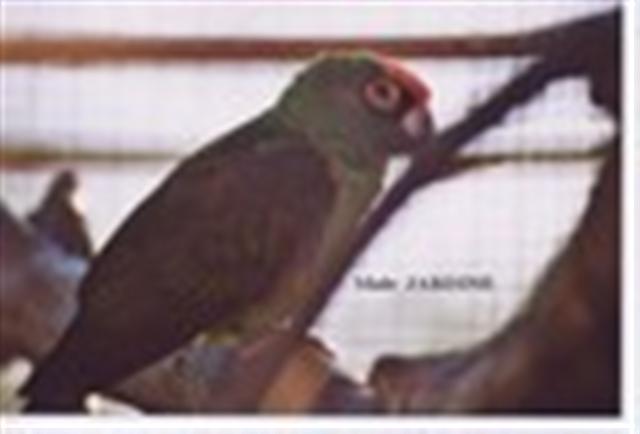 Photo 006.jpg INTERNET (Small).jpg