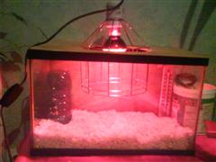 DSC00086 (WinCE).JPG