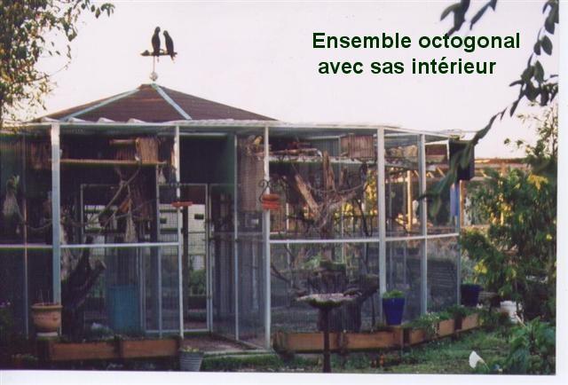 Photo 004 (Small) (Small) (2).jpg