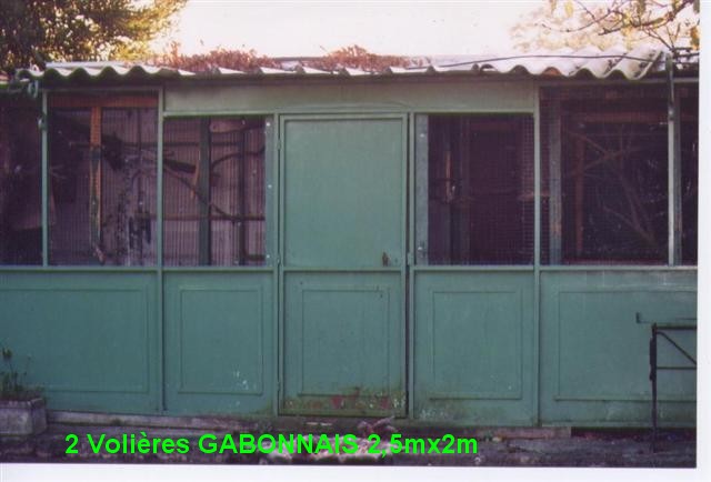 Photo 005 (Small).jpg