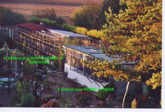 Photo 001 (Small) (Small) (2).jpg