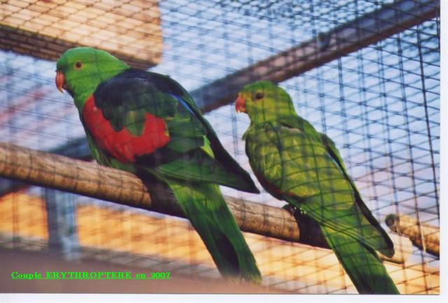 Photo 004 (Small).jpg