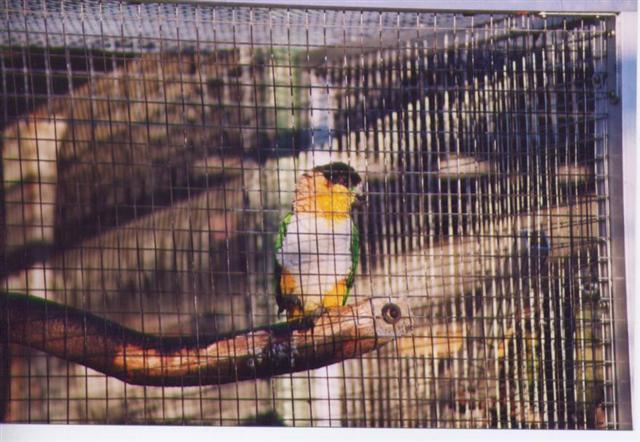 Photo 012 (Small).jpg