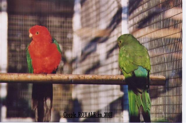 Photo 001 (Small).jpg