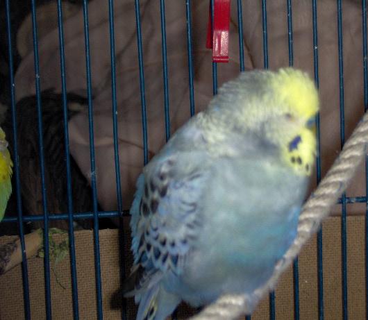 Copie de photoscanner 063.jpg