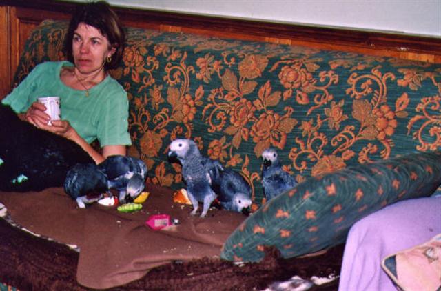 le petit dejeuner (Small).jpg