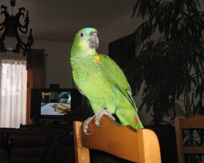 Copie de IMG_1443.jpg