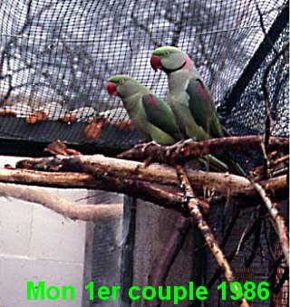 grande alex couple 1986.jpg