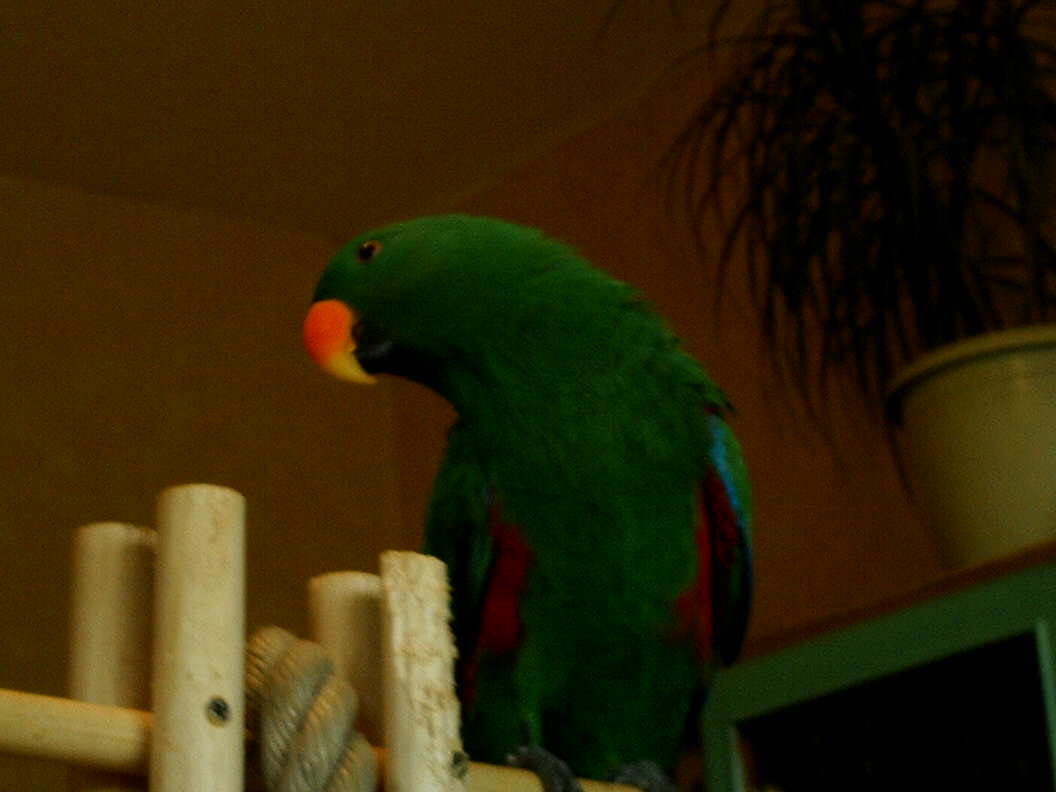 Photo famille 075.jpg