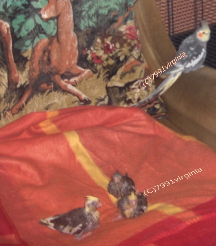 melo_supervise_casting_bis 003.jpg