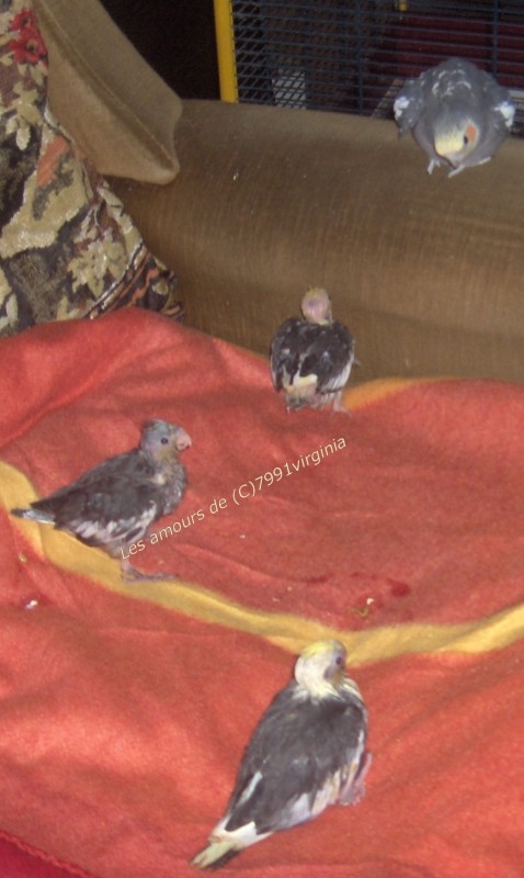 melo_supervise_casting_matinal 003.jpg