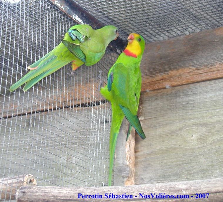 Barraband Couple.jpg