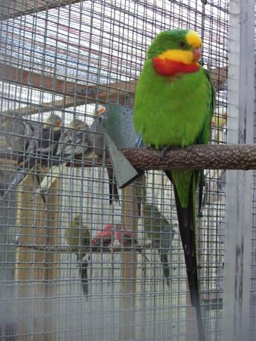 bretagne 2007 plouhinec 56 017 (Small).jpg