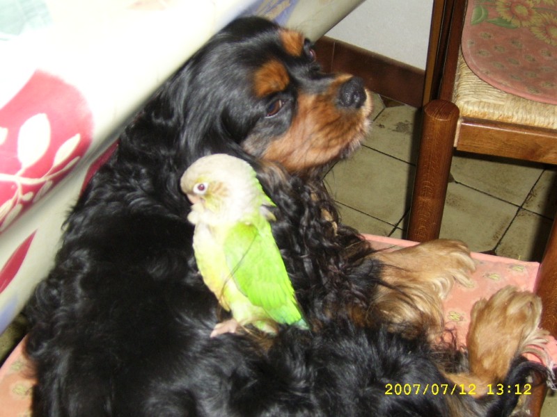 Photo septembre 012.jpg