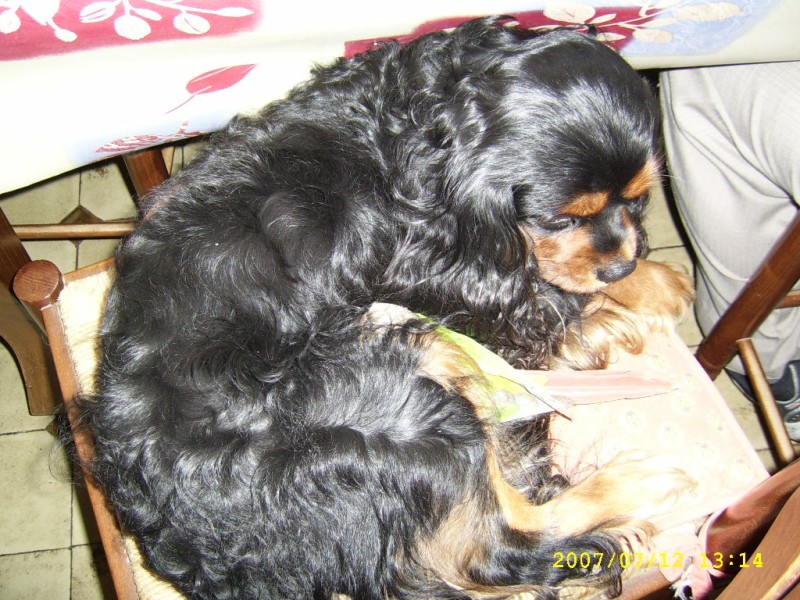 Photo septembre 013.jpg