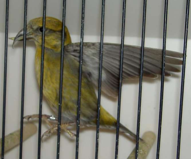 PICT2841 (Large).jpg